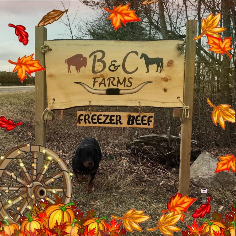 B and C Farms